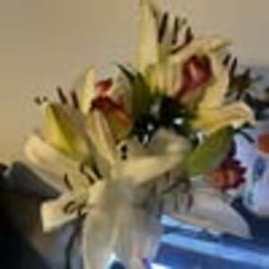 Meet your Posher, Araceli